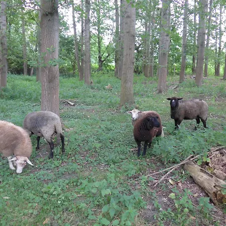 Gutshaus Mit Seeblick - ökologisch&nachhaltig Lubow