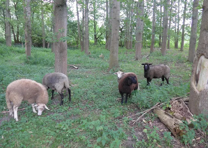 Gutshaus Mit Seeblick - Oekologisch & Nachhaltig Lubow
